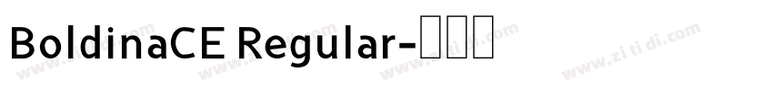 BoldinaCE Regular字体转换